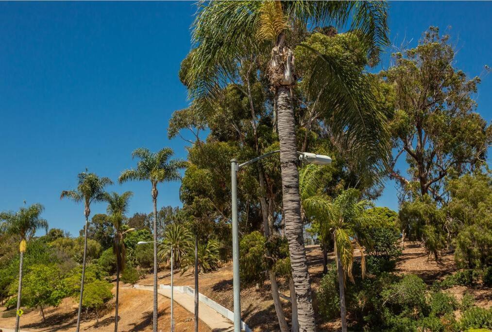 Cozy Studio Next To San Diego Dt And Balboa Park Luaran gambar